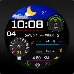 FS W254 Watch face icon