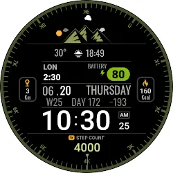 Digital SMO104 icon