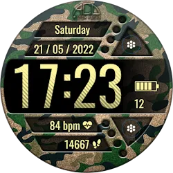 ACD163 Army Camo icon