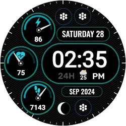 Digital 5 icon