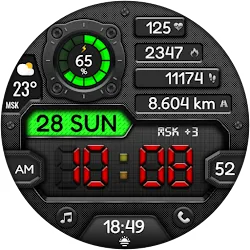 Digital DARGUN WS21 Watch face icon