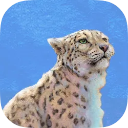Nature Board Game icon