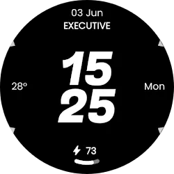 Embassy 2: Minimal Watch Face icon