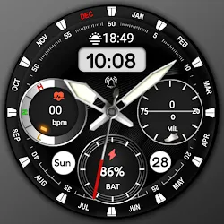 Hybrid FSW302 Watchface icon