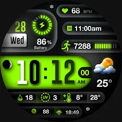 ML2U 256 Watch Face icon