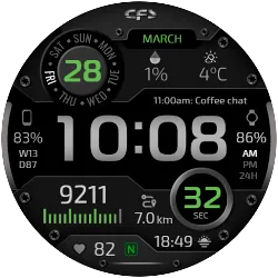 CFS118 Digital icon