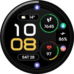 TVV Workout 2 Watch Face icon