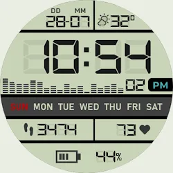 Retro Digital Watch Face icon