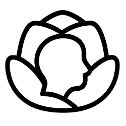 MindMuse: Reflect Reset Rise icon