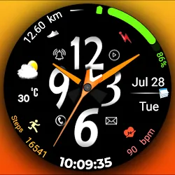 Hybrid FSW309 Watchface icon