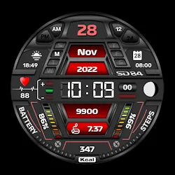 SD84 icon