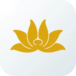 Vietnam Airlines icon