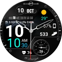 WearOS Hybird WatchFace NTV567 icon