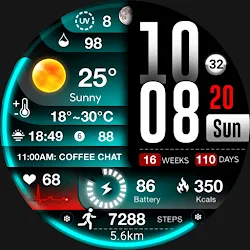 ML2U 239 Watch Face icon
