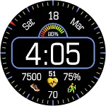 Iris4010 Digital Watch Face
