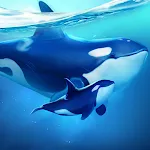 小小水世界 icon