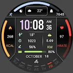 Information Block ZKin Watch