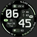 Pioneer Watch Face