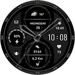 CNRwatch024