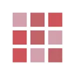 Error Match icon
