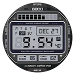 NW118: DIgital watch face