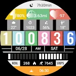 Signal Malfunction ZKin Watch