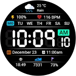 Digital Dashboard