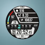 Tancha S44 Digital Watch Face