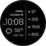 CELEST5578 Data Hub Watch