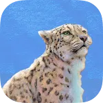 Nature Board Game icon