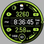 BRN154 - TRAINER
