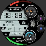 Practical LCD Screen ZKinWatch