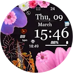 FSW225 WATCHFACE