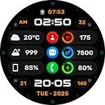 Wyvern Watch Face