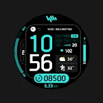 SamWatch FIT Q