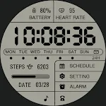 ZKin Watch Personalized LCD