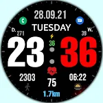 Big dgt mod 5M Watch face