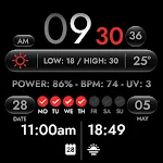 OMG 453 - Digital Dashboard