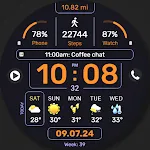 WFP 341 Informer watch face