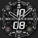 WFP 328 Hybrid watch face