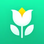 Plant Parent: Plant Care Guide