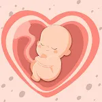 HiMommy: Schwangerschafts-App icon