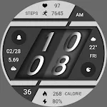 Diagonal Grey ZKin Watch