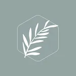 The Branch Church OH icon