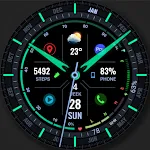 WFP 323 Analog Watch Face