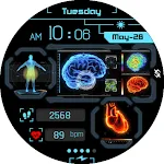 BFF50 - Technology Body HUD