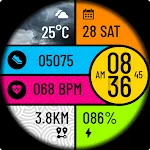 POLO Watch Face