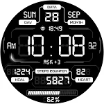 DIGI PLANATON CTS55 Watch face