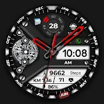 Animated FS W250 Watchface