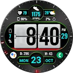 Flip Style WearOS NTV279